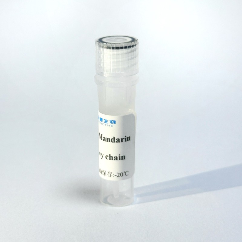 博格德生物-鱼抗研发生产及各类抗体定制服务图8